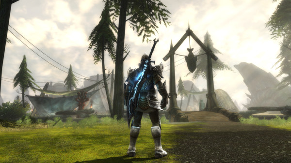 阿玛拉王国:惩罚 重置版 Kingdoms of Amalur: Re-Reckoning PC中文版下载