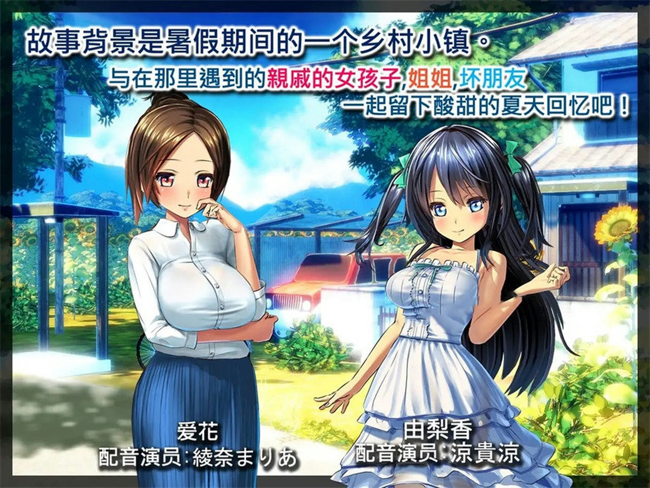 A0144 - 我的愉快暑假～乡下的假日回忆 免安装-V1.01-(STEAM官中+DLC)中文绿色版[2.13GB]